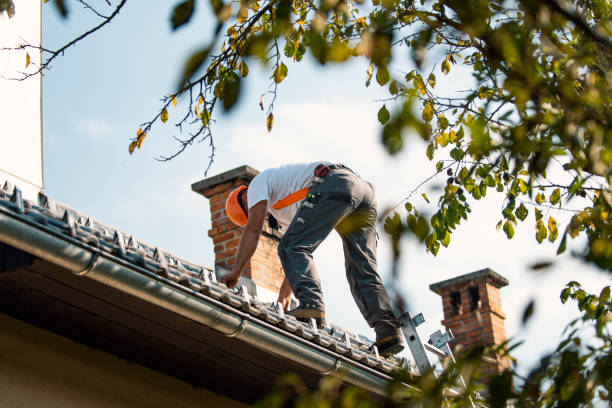 Best Commercial Roofing Services  in Franklin, KY