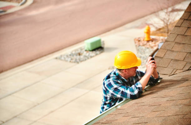 Best Roof Gutter Cleaning  in Franklin, KY