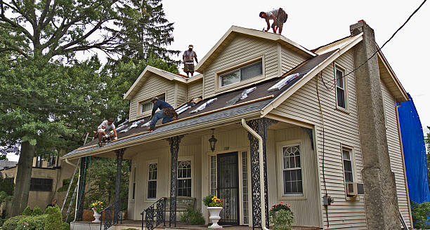 Best Roofing Contractor Near Me  in Franklin, KY